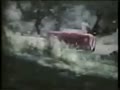 video pic